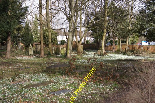 Photo snow drops tomb - snow, &