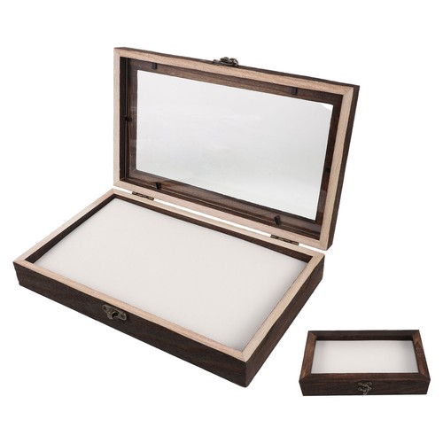 Vintage insect specimen box - insect,