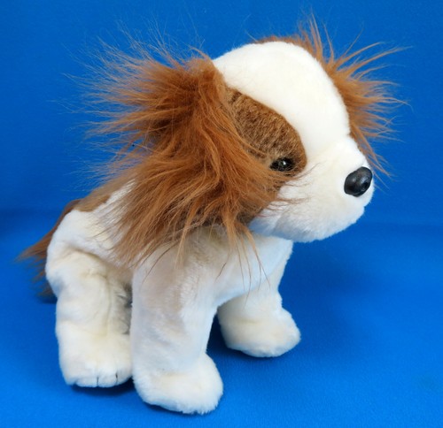 Regal cavalier king - king, charles