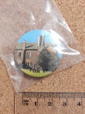 National Trust TATTON PARK House & Tree Charity Tin Badge