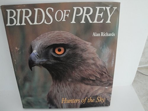 Birds prey hunters of the - birds,