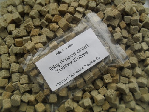 Freeze dried tubifex cubes - freeze,