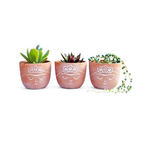 Mini plant pot planter - pot,