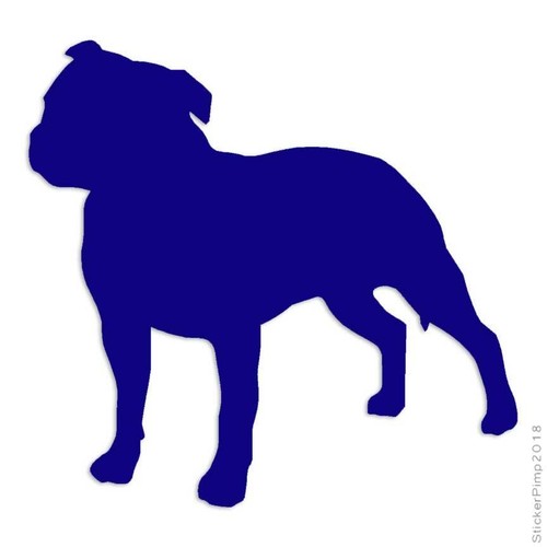 Staffordshire bull terrier - staffordshire,