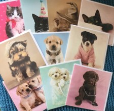 Rachael Hale Beautifully