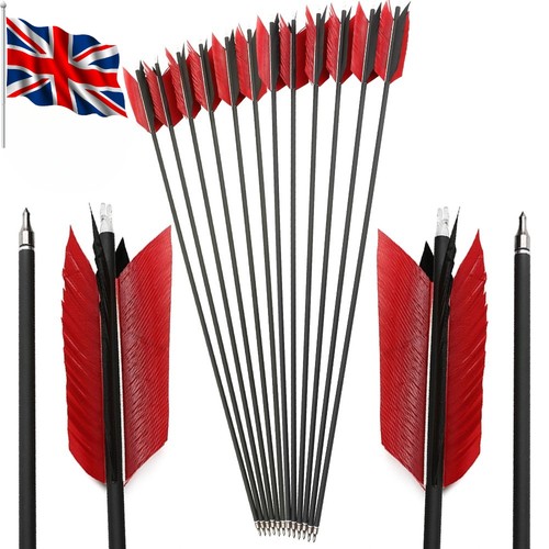 12pcs carbon arrows - carbon,