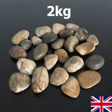 2kg Decorative Natural BROWN