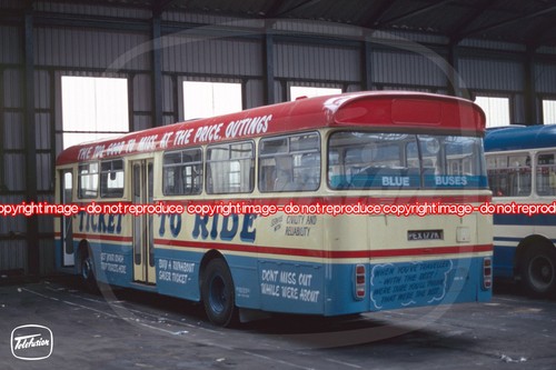 Bus photo great yarmouth - photo,