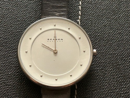 Skagen skw2172 quartz watch - skagen,