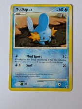 Mudkip Supreme Victors 116/147