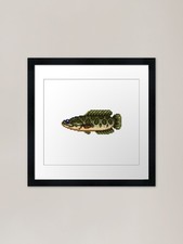 Giant snakehead framed art - giant,