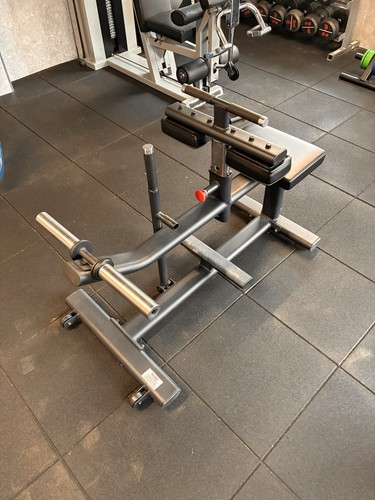 Seated calf raise machine - raise,