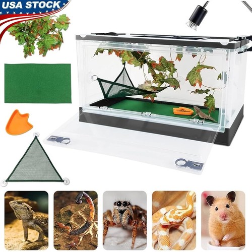 Transparent terrarium kit - transparent, w/
