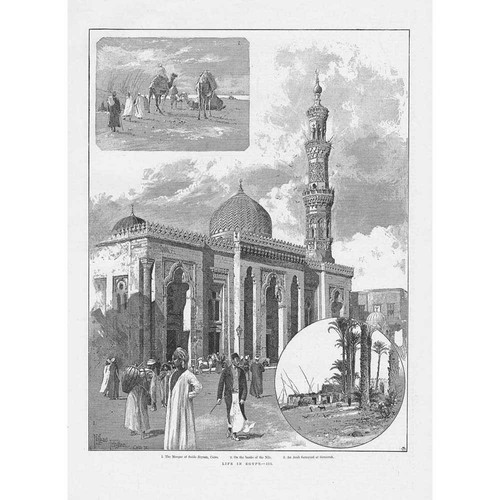 Egypt the mosque - egypt, al-sayeda