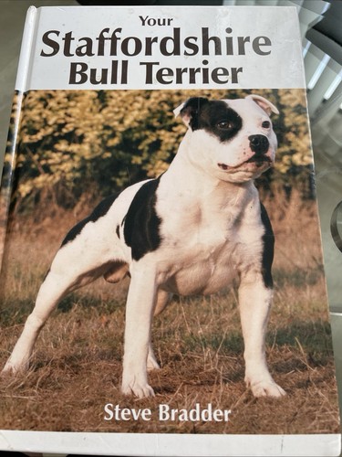 Your staffordshire bull - staffordshire,