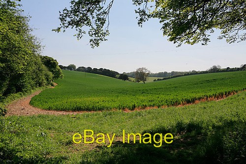 Photo 6x4 view - across, farm