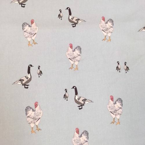 Chickens and geese duck egg - chickens,