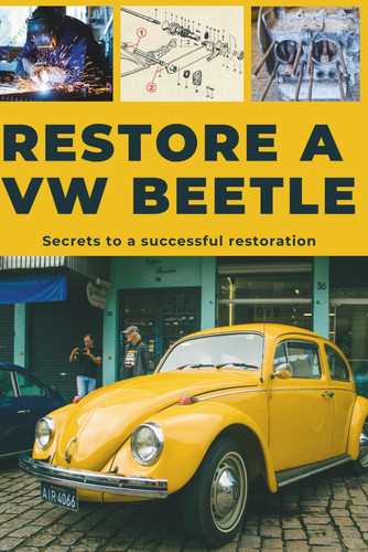 Restore beetle this - restore,