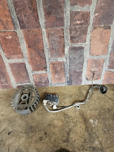 Stihl ts400 flywheel - stihl,