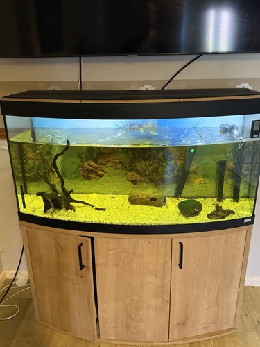 Fluval vicenza 260l aquarium - fluval,