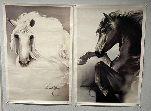 Vintage sara moon - horse, art
