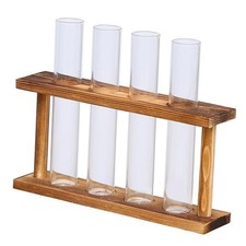 Terrarium planter test tube - planter,