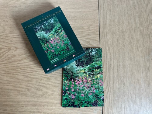 Wentworth wooden puzzles - wooden,