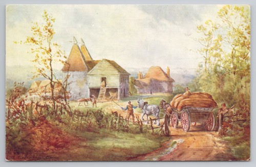 Traditional hop picking - traditional,