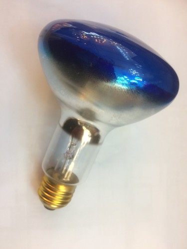 Vintage 100w r95 coloured - 100w,