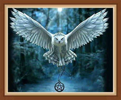 Owl harry potter full - owl,