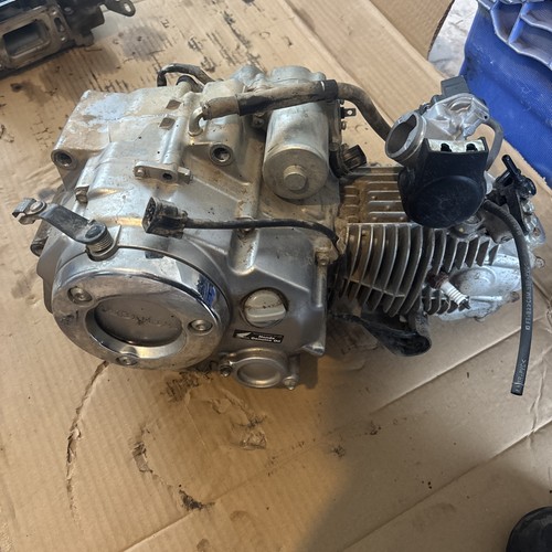 2024 honda monkey engine - monkey,