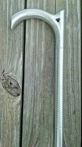 Walking stick the remarkable - stick,