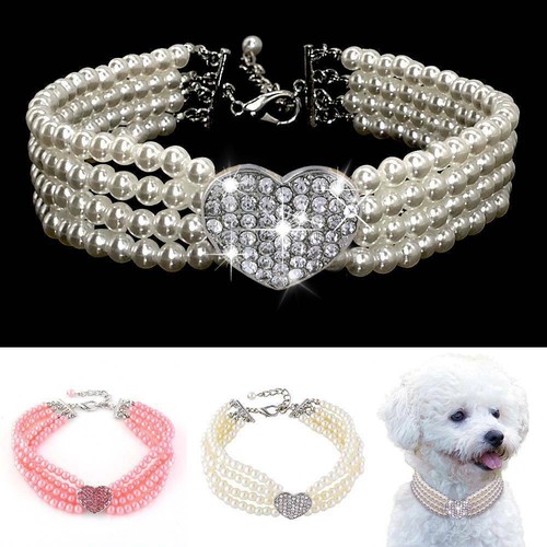 Dog collar pearl rhinestone - dog,