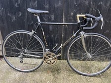 Vintage Gazelle Champion