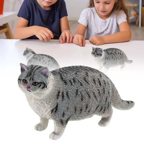 Realistic short hair fat cat - fat,