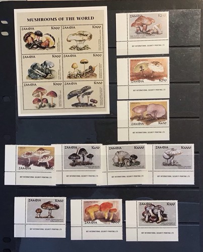 Fungi thematic stamps zambia - fungi,
