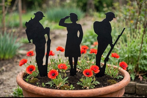 Lest forget soldier - lest, garden