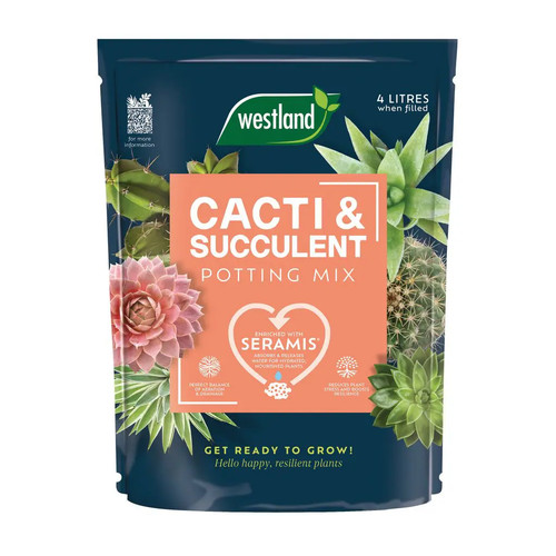Westland cacti succulent - &,