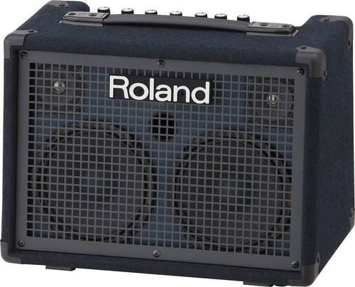 Roland 220 battery - roland, kc-220