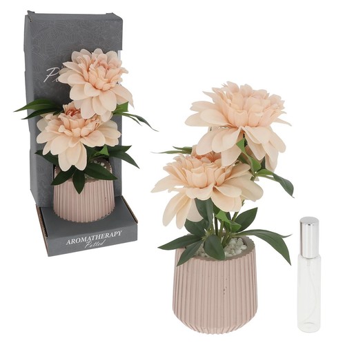 Shudehill giftware - shudehill,