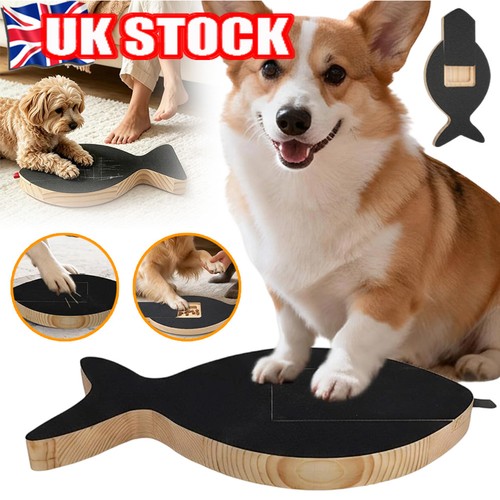 Pet snack hidden box - hidden, scratch