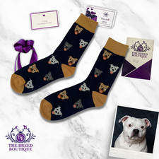 STAFFORDSHIRE BULL TERRIER