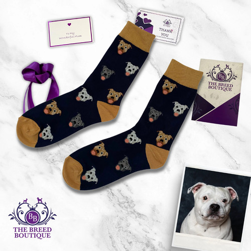 Staffordshire bull terrier - staffordshire,