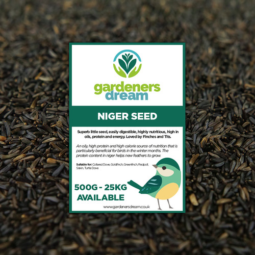 Gardenersdream niger seeds - gardenersdream,