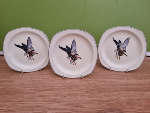 Vintage peter scott wild - 3,