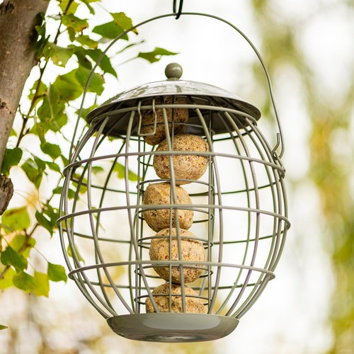 Squirrel proof orbital fat - orbital,