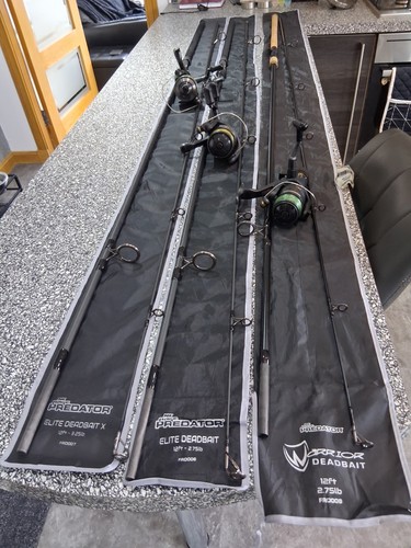 Pike fishing rods and - pike,