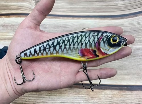 Printed jerk bait - printed,
