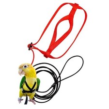 Parrot Bird Harness Leash