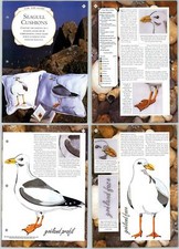 Seagull Cushions #81-84 For The Home - Needlecraft Magic 2 Page Pattern